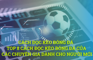 Cách đọc kèo bóng đá - Top 8 Cách đọc kèo bóng đá của các chuyên gia dành cho người mới